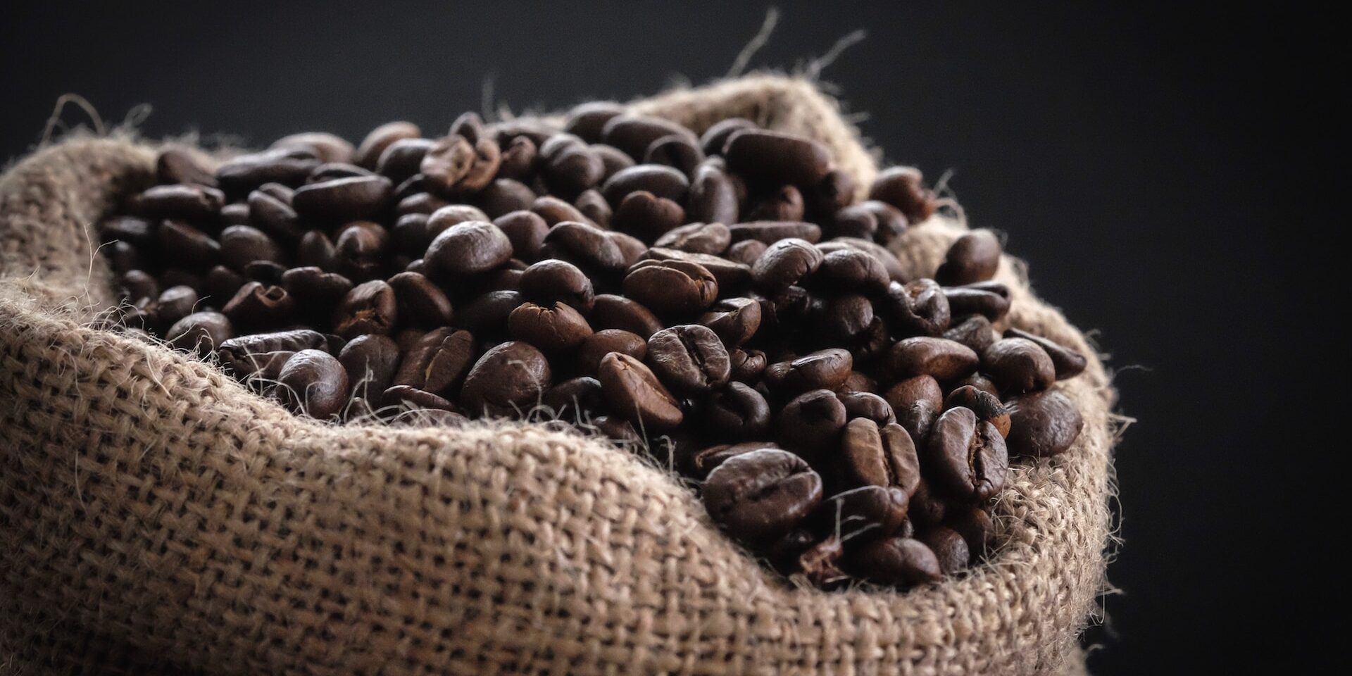 シングルオリジン豆入荷しました